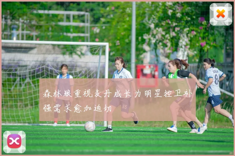森林狼重视麦丹成长为明星控卫补强需求愈加迫切
