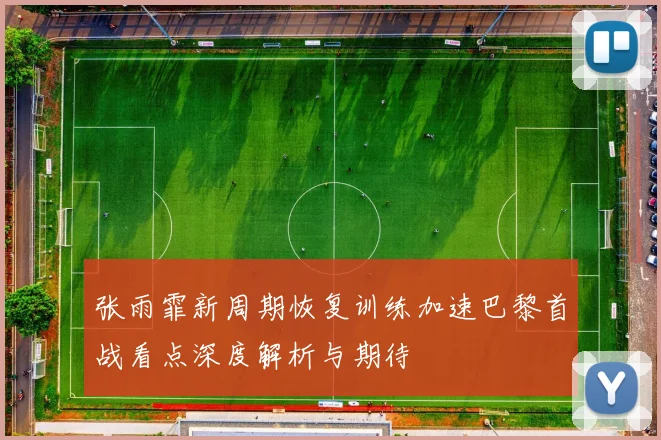 张雨霏新周期恢复训练加速巴黎首战看点深度解析与期待