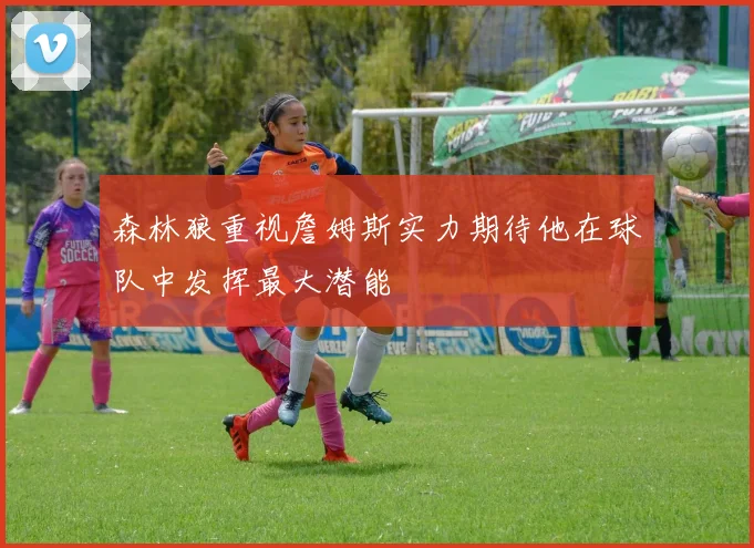 森林狼重视詹姆斯实力期待他在球队中发挥最大潜能