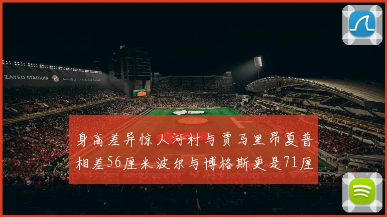 身高差异惊人河村与贾马里昂夏普相差56厘米波尔与博格斯更是71厘米