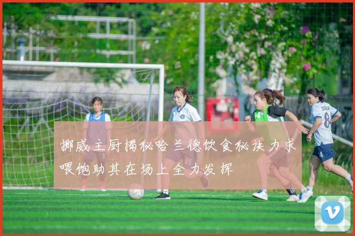 挪威主厨揭秘哈兰德饮食秘诀力求喂饱助其在场上全力发挥